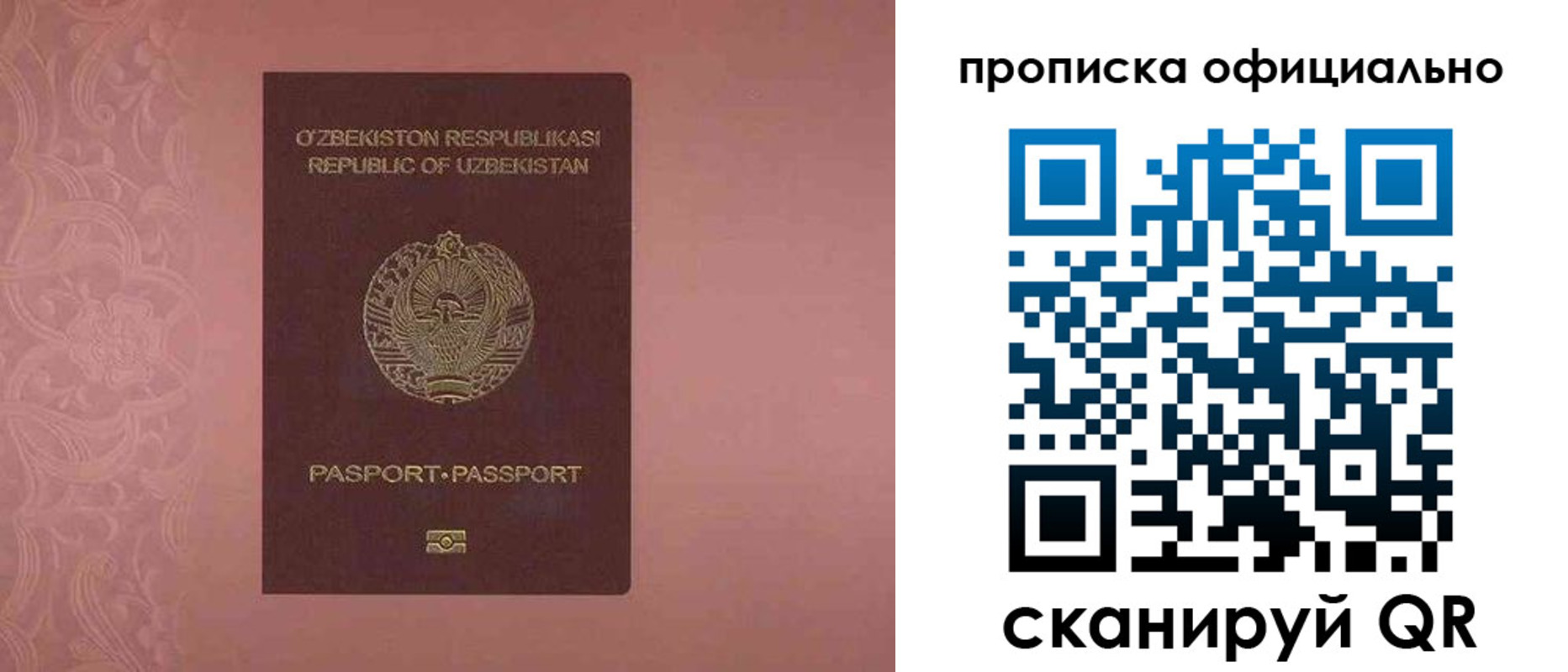 прописка гарантия в Волгограде